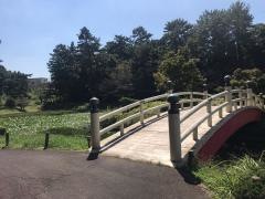 上野台公園