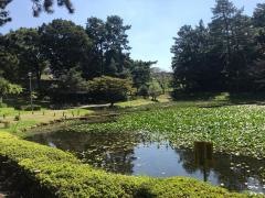 上野台公園