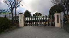 認定子ども園アザレア幼児園