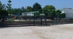 認定子ども園アザレア幼児園