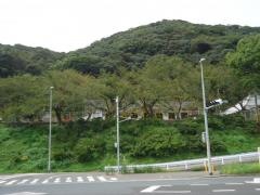 わしみね幼稚園