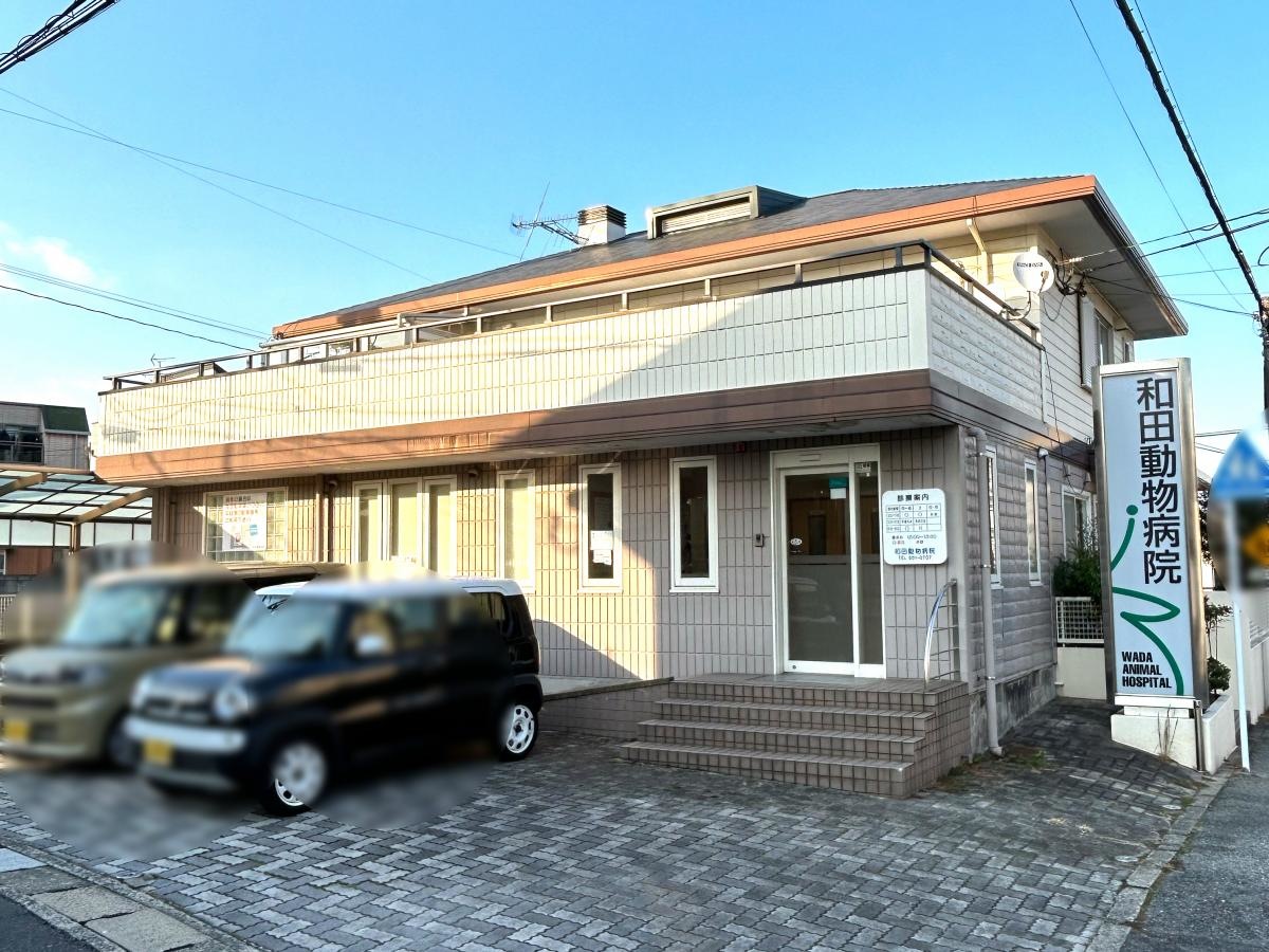 和田動物病院