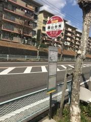 「藤山台南」バス停留所