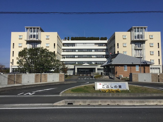 こぶしの里