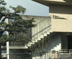 しらかばホール