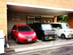 アート園