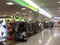 Ｓｅｒｉａ　アルプラザ堅田店