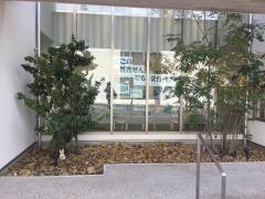 豊田調剤薬局　逢妻店