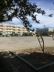 新郷南小学校