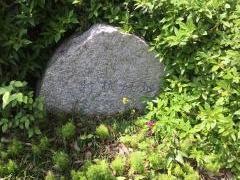 打越緑地