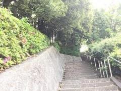 打越緑地