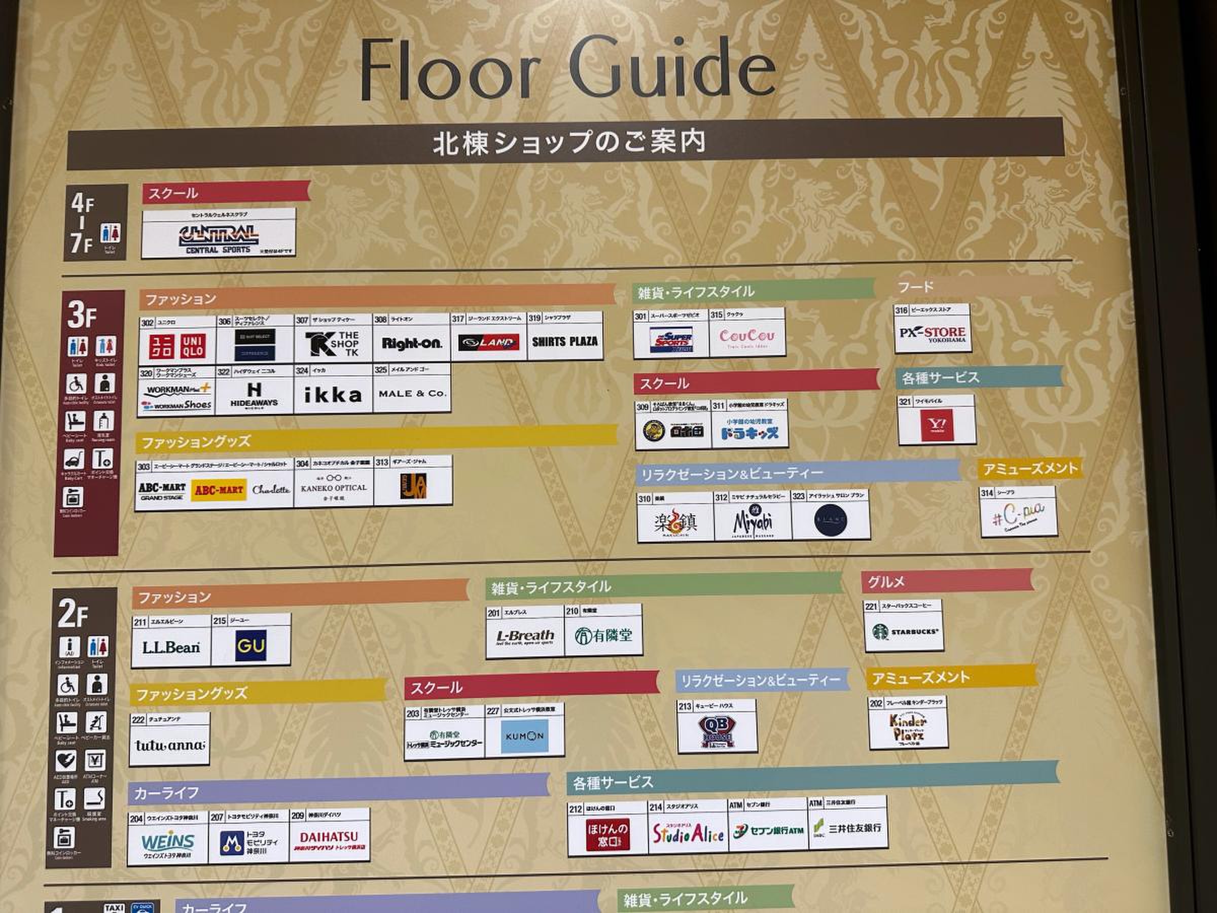 活動歴および当時の関連ビジュアル記録