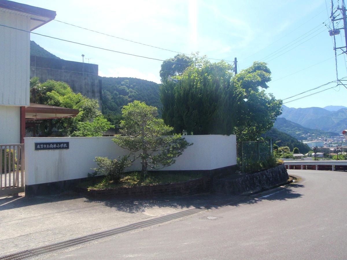 向井小学校の外観です