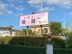 田田