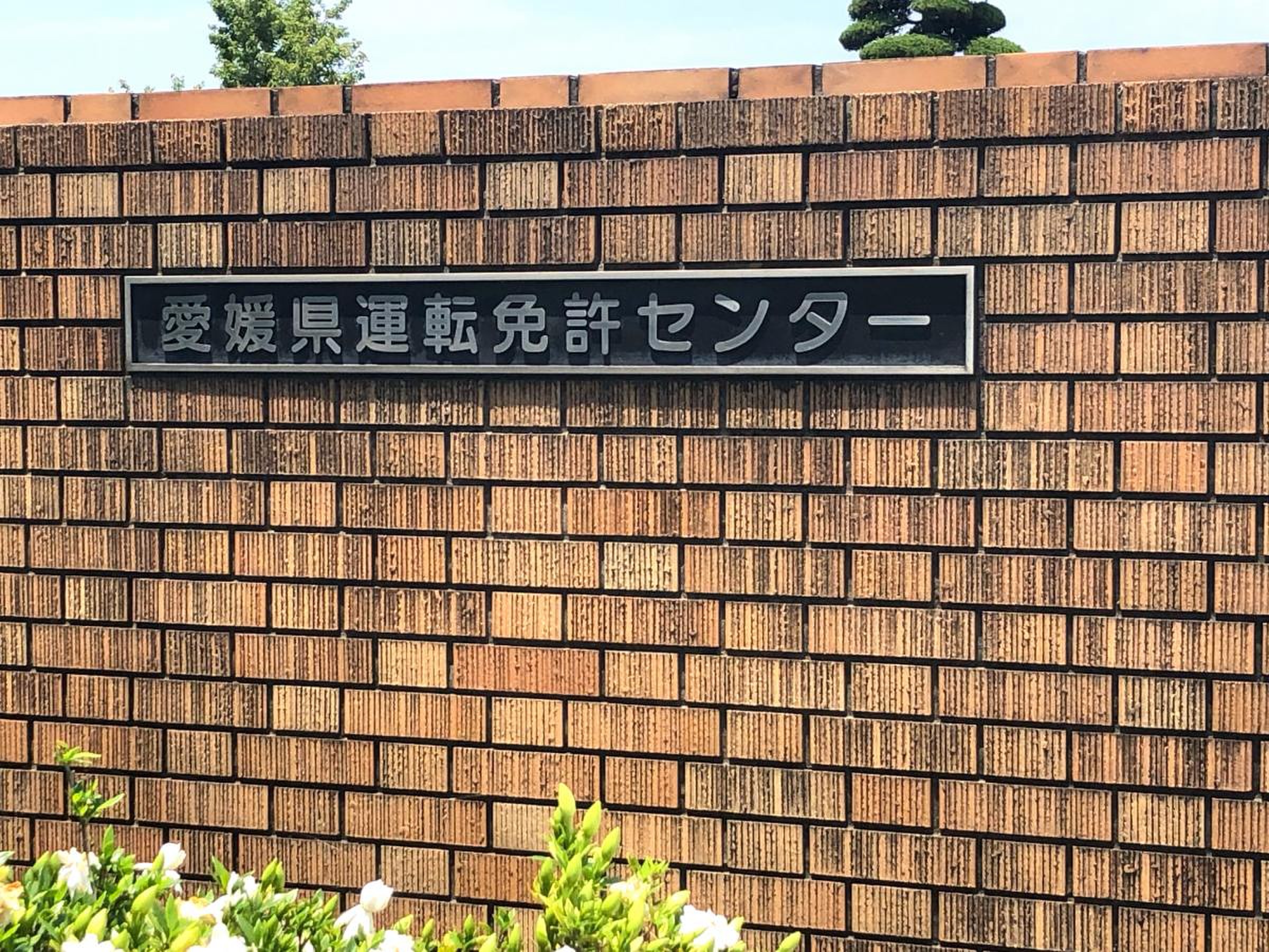 愛媛 県 運転 免許 センター