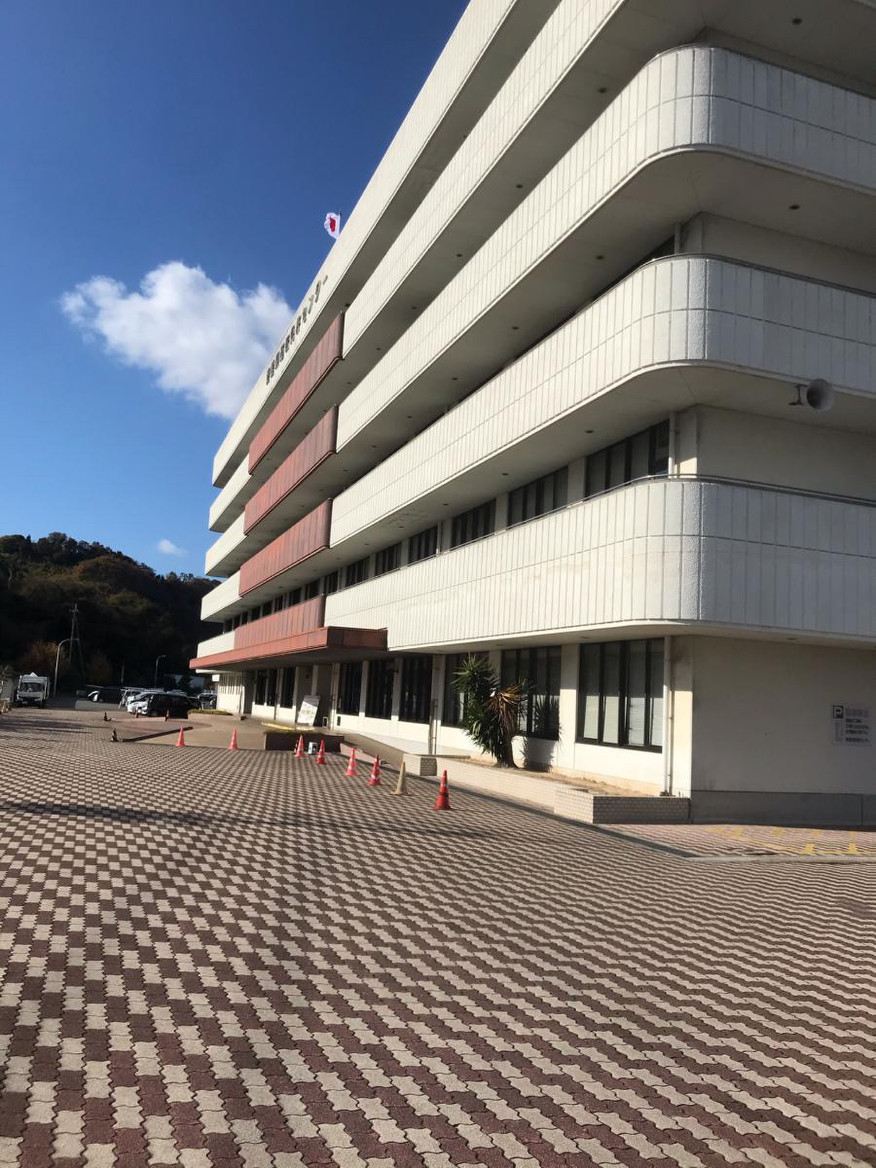 当時のメディア報道・掲載写真