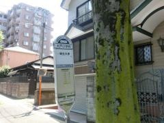「大戸小学校」バス停留所