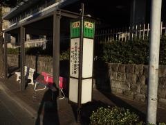 「市役所前・日本郵政横(議事堂線)」バス停留所