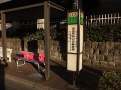 「市役所前・日本郵政横(議事堂線)」バス停留所