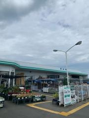 コメリハード＆グリーン　国東店