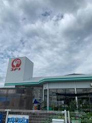 コメリハード＆グリーン　国東店