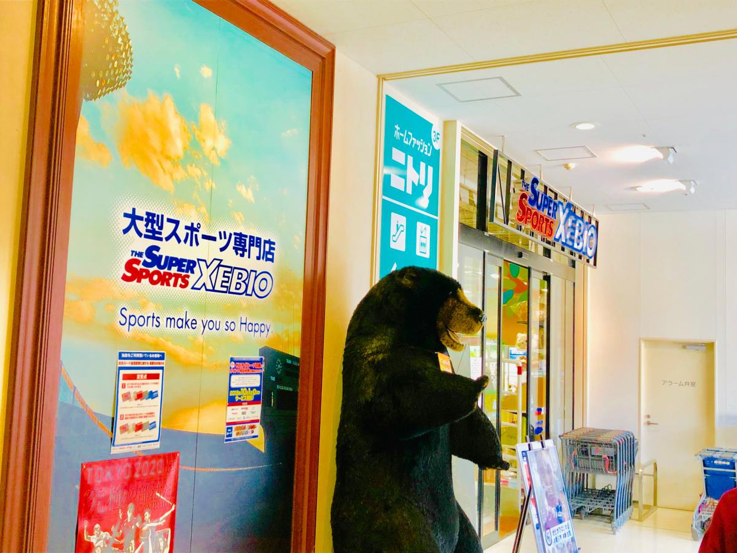 スーパー スポーツ ゼビオ 日立 城南 店