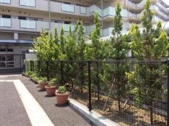 小合保育園