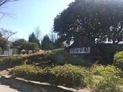 阿品公園