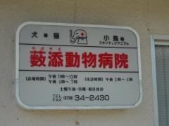 薮添動物病院