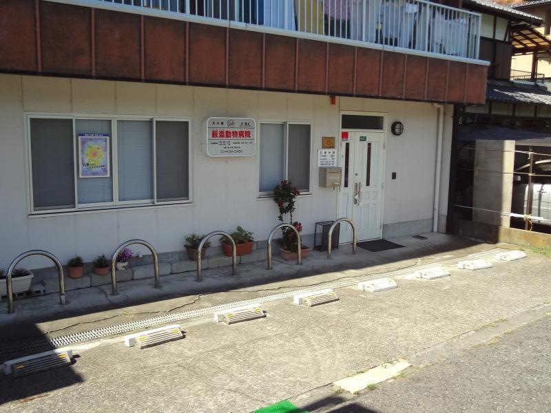 薮添動物病院