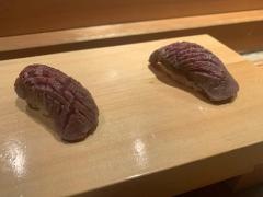 本等鮨海馬