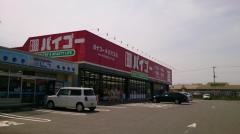 ドラッグセイムス　本庄児玉店