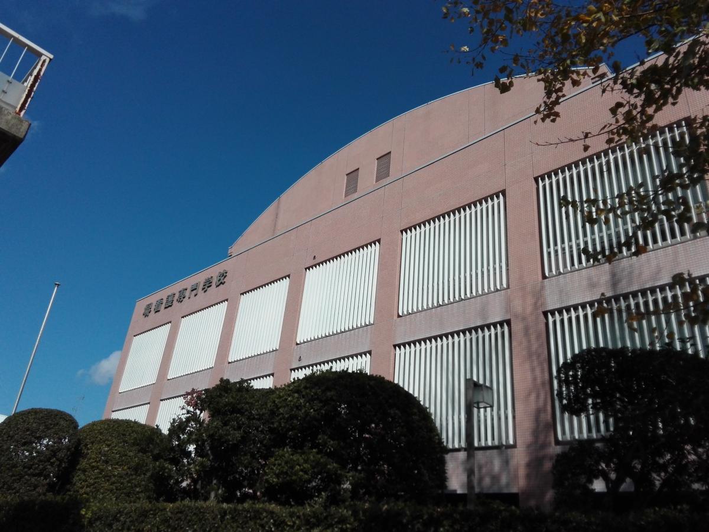 堺 看護 専門 学校