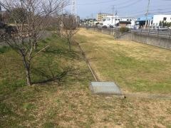 藤木緑地