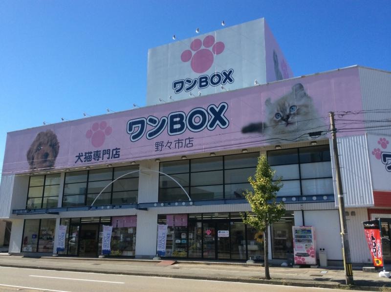 ワンBOX野々市店