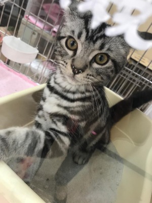 マーケットピア ワンｂｏｘ 野々市店 野々市市扇が丘