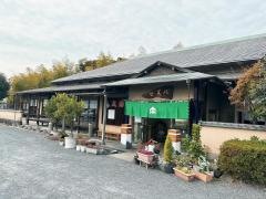 ぼんどーる