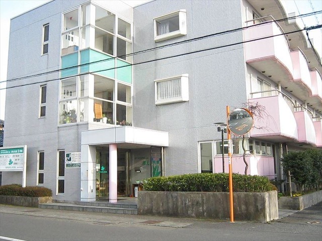 あしたば