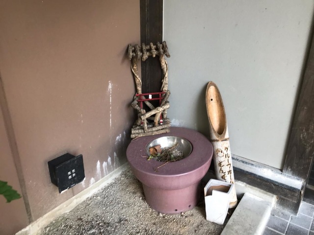 どんぐり