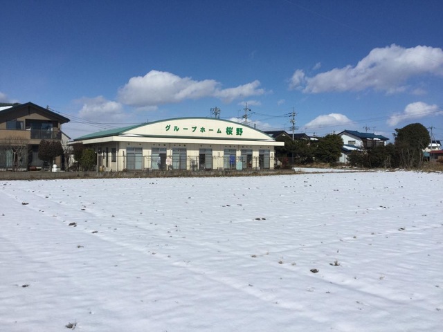 桜野