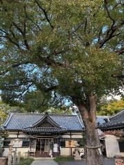 加支多神社