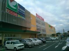 ノジマ　鎌ヶ谷店