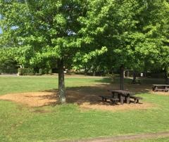 わらび近隣公園