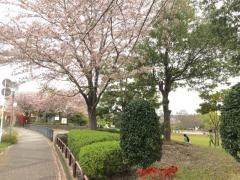 わらび近隣公園
