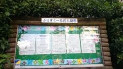 就学前乳幼児教育施設ぷりすくーる西五反田