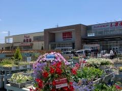 ロイヤルホームセンター相模原橋本店