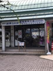 道の駅　とよとみ