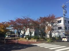南郊街園