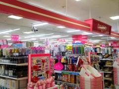 ザ・ダイソー　アルプラザ水口店