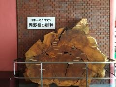 高松市牟礼図書館